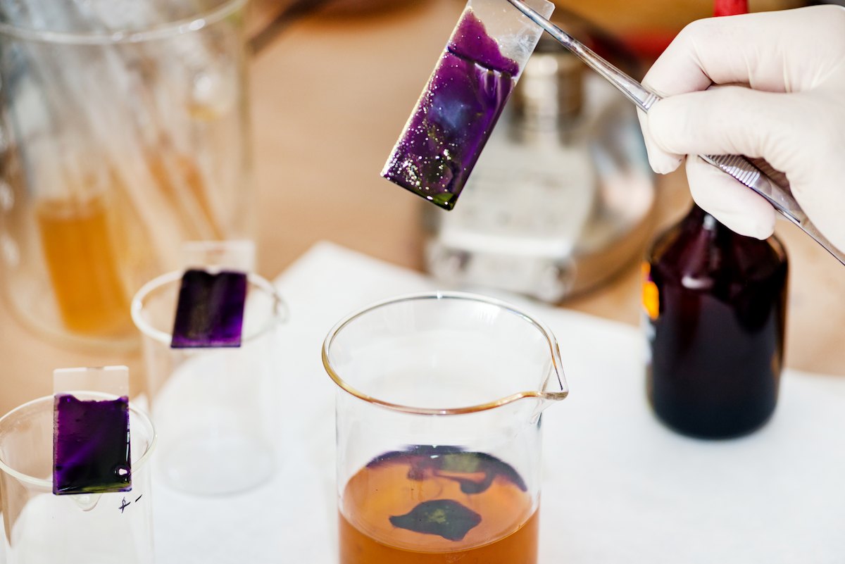 microbiology-laboratory-work-2024-10-18-15-10-19-utc (1).jpg