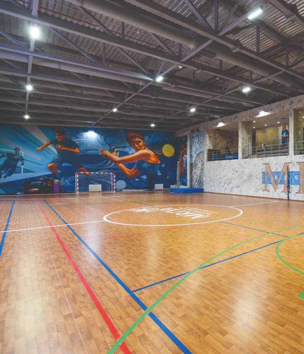 Игровые виды спорта