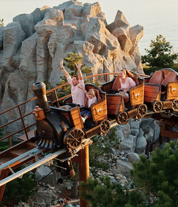 Парк чудес и приключений Дримвуд