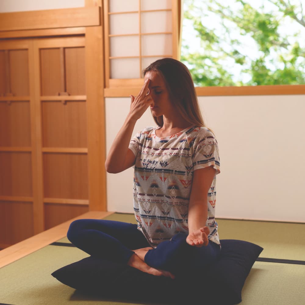 Пранаямы + медитация