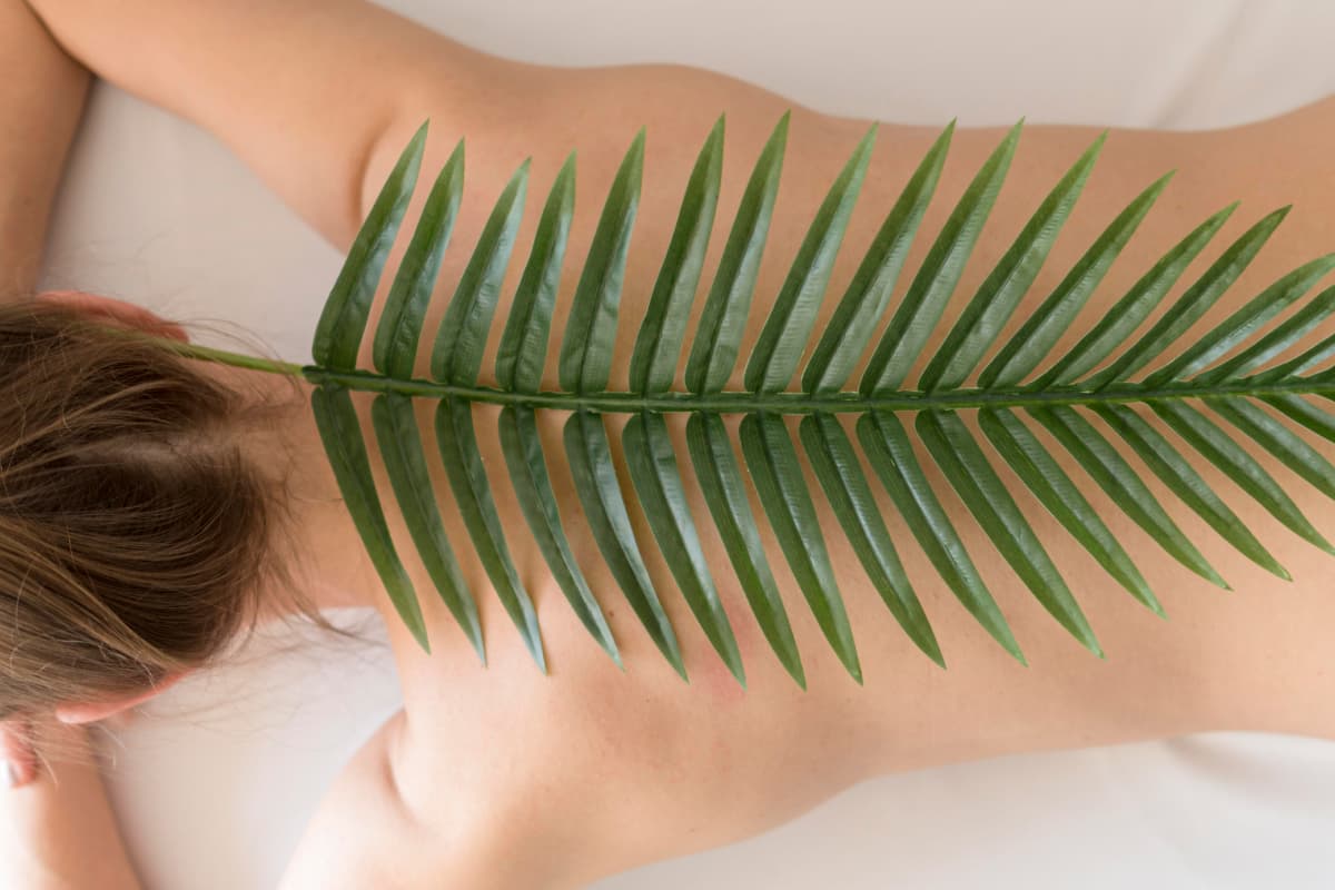 Талассотерапия Талассотерапия